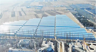 準(zhǔn)格爾旗現(xiàn)代設(shè)施農(nóng)業(yè)科技轉(zhuǎn)化示范園