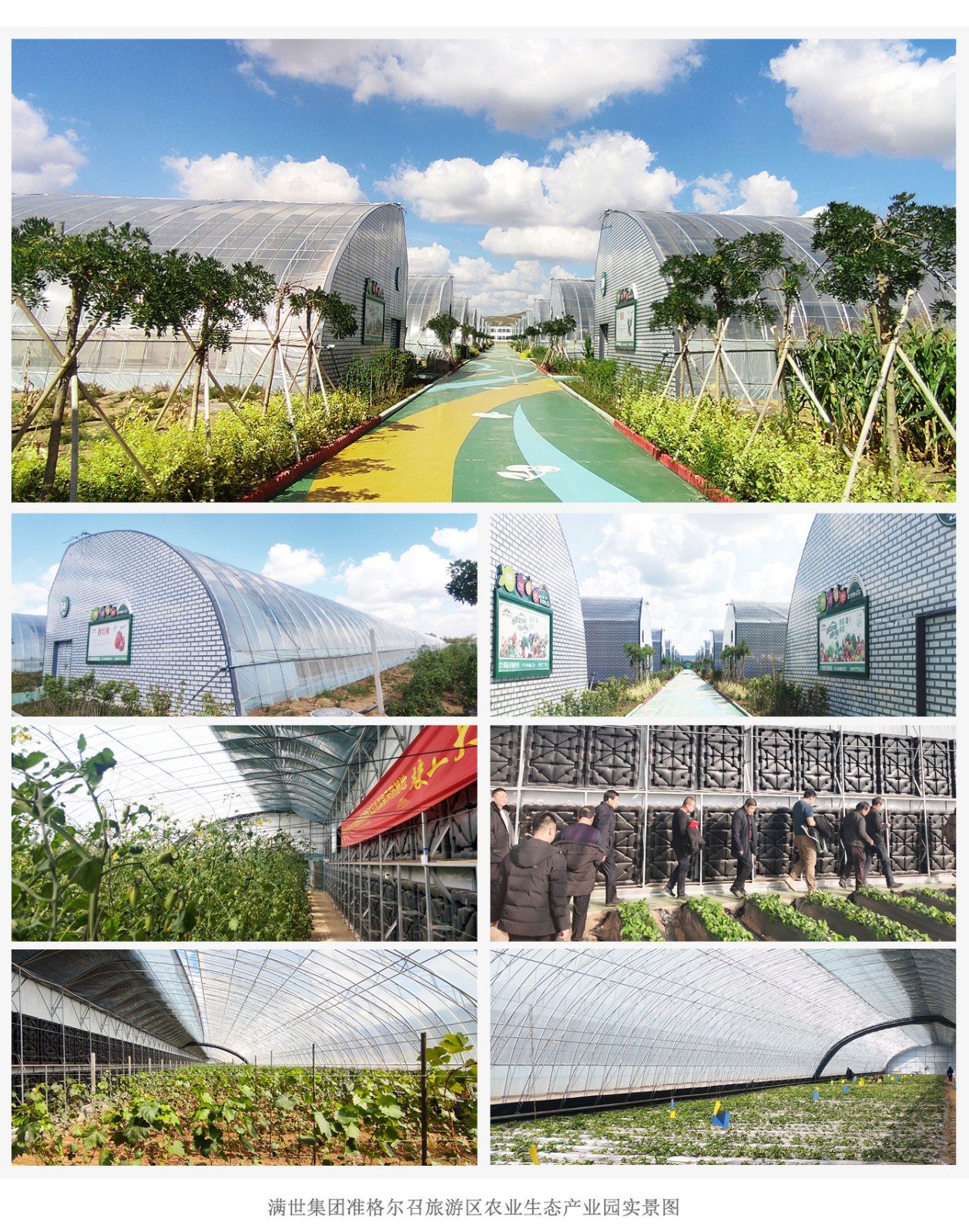 滿世集團準格爾召旅游區(qū)農(nóng)業(yè)生態(tài)產(chǎn)業(yè)園_07.jpg