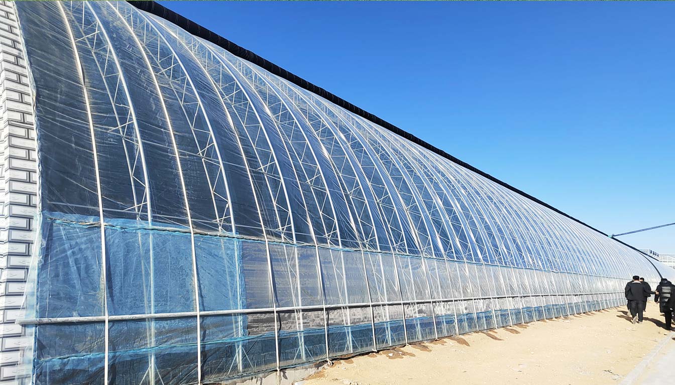 大路鎮(zhèn)苗家灘社區(qū)項目-智能溫室、日光溫室建設(shè)項目_08.jpg