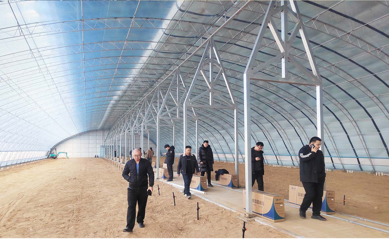大路鎮(zhèn)苗家灘社區(qū)項目-智能溫室、日光溫室建設(shè)項目_09.jpg