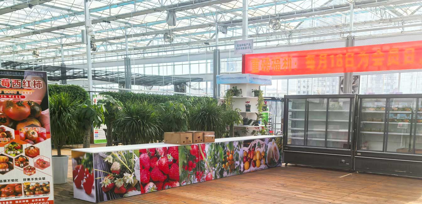 自治區(qū)綠色優(yōu)質果蔬展銷中心psd-恢復的_12.jpg